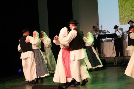 Ples in glasba izpod kamniških planin v izvedbi Folklorne skupine Kamnik in njihovih prijateljev  (13)